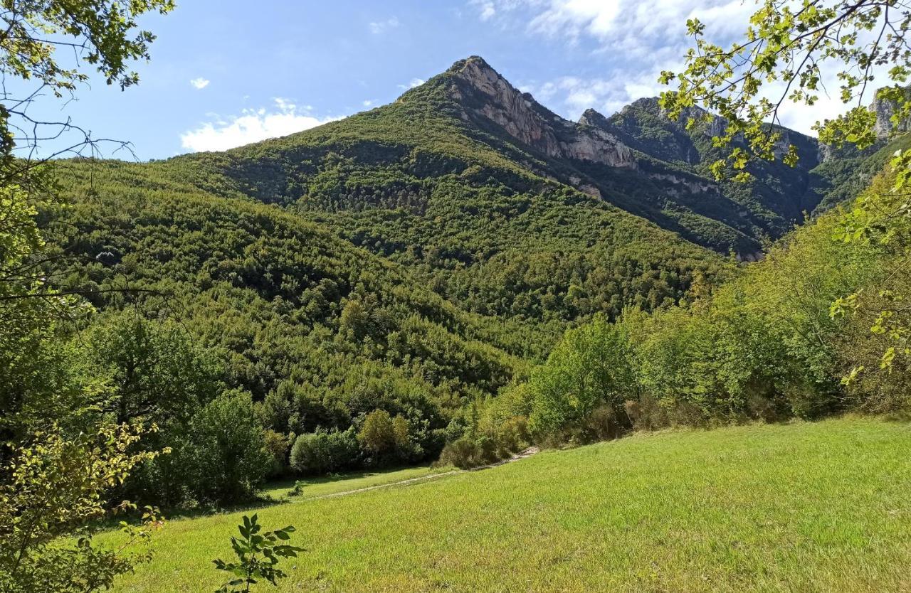 Saecula Natural Village Experience Force Bagian luar foto